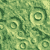 La cryptococcose