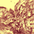 Le Pytiriasis versicolor
