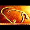 a_lumbricoides01.jpg